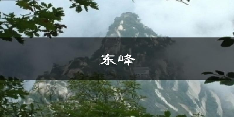 东峰天气未来15天