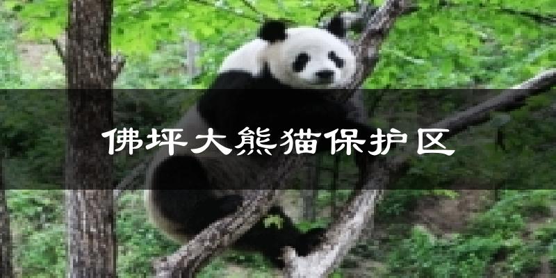 佛坪大熊猫保护区天气未来15天