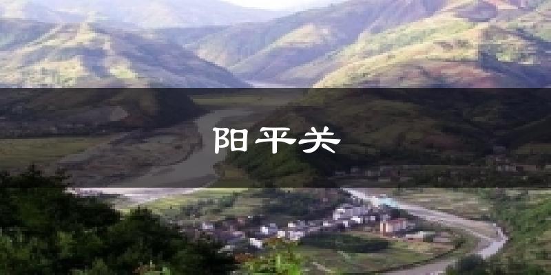 阳平关天气未来15天