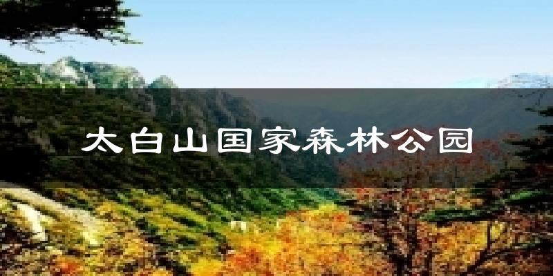 太白山国家森林公园气温
